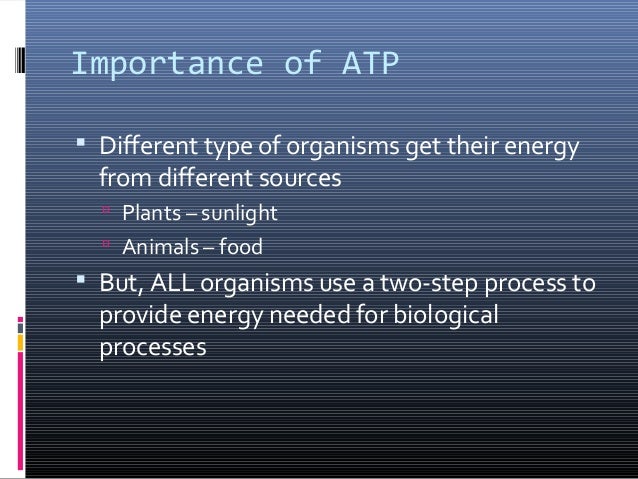 Why Is Atp Necessary For Active Transport