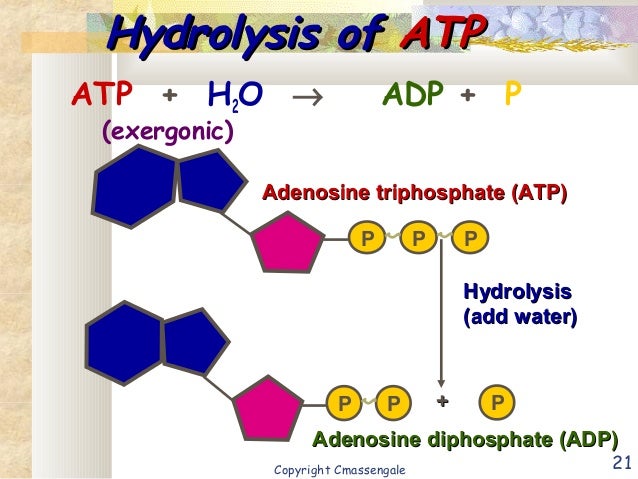 atp