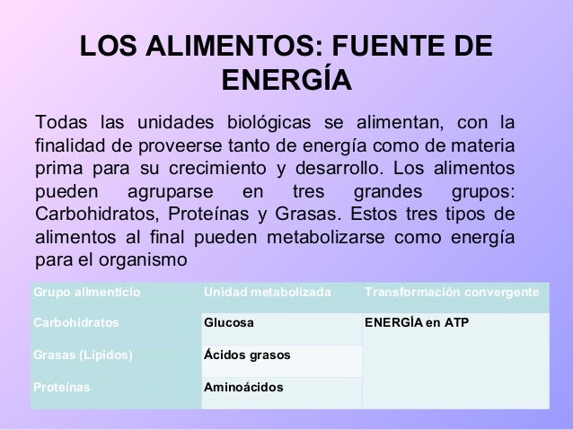 lecciones importantes sobre metabolismo de los lipidos resumen