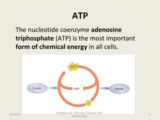 ATP- The universal energy currency of cell | PPT