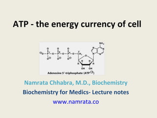 ATP - the energy currency of cell
Namrata Chhabra, M.D., Biochemistry
Biochemistry for Medics- Lecture notes
www.namrata.co
 