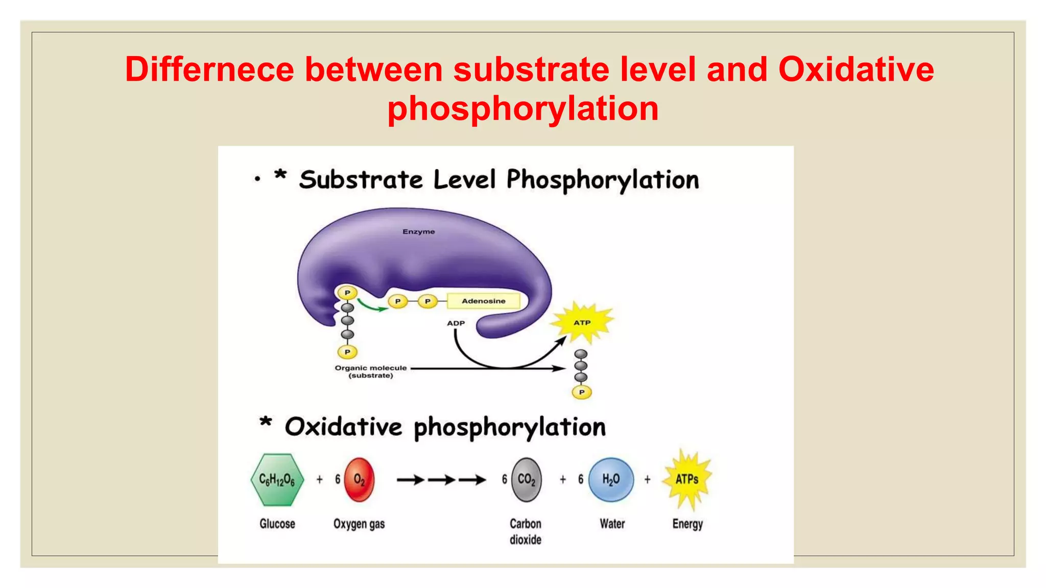 Differnece between substrate level and Oxidative
phosphorylation
 