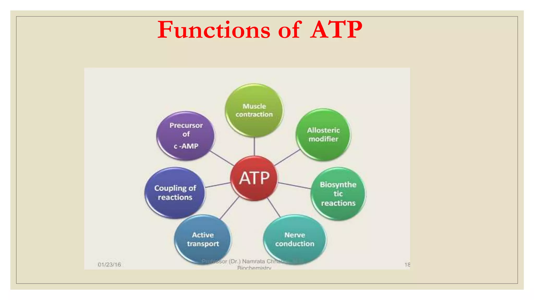Functions of ATP
 