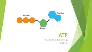 ATP
Docente: Arelis Ballesteros Q.
Grado: 6°
 