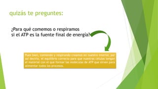 quizás te preguntes:
¿Para qué comemos o respiramos
si el ATP es la fuente final de energía?
Pues bien, comiendo y respirando creamos en nuestro interior, por
así decirlo, el equilibrio correcto para que nuestras células tengan
el material con el que formar las moléculas de ATP que sirven para
alimentar todos los procesos.
 