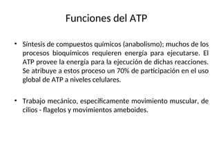 Funciones del ATP
• Síntesis de compuestos químicos (anabolismo); muchos de los
procesos bioquímicos requieren energía para ejecutarse. El
ATP provee la energía para la ejecución de dichas reacciones.
Se atribuye a estos proceso un 70% de participación en el uso
global de ATP a niveles celulares.
• Trabajo mecánico, específicamente movimiento muscular, de
cilios - flagelos y movimientos ameboides.
 