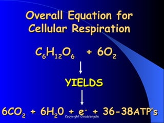 Overall Equation for
Overall Equation for
Cellular Respiration
Cellular Respiration
6CO
6CO2
2 + 6H
+ 6H2
20 + e
0 + e-
-
+ 36-38
+ 36-38ATP’s
ATP’s
C
C6
6H
H12
12O
O6
6 + 6O
+ 6O2
2
YIELDS
YIELDS
Copyright Cmassengale
 