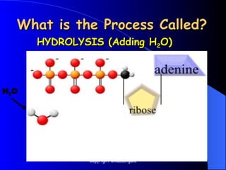 What is the Process Called?
What is the Process Called?
HYDROLYSIS (Adding H
HYDROLYSIS (Adding H2
2O)
O)
H2O
Copyright Cmassengale
 