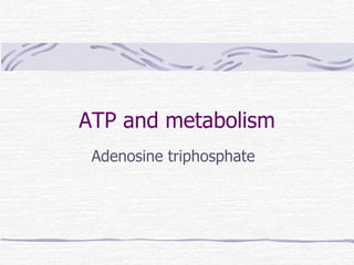 ATP and metabolism Adenosine triphosphate 