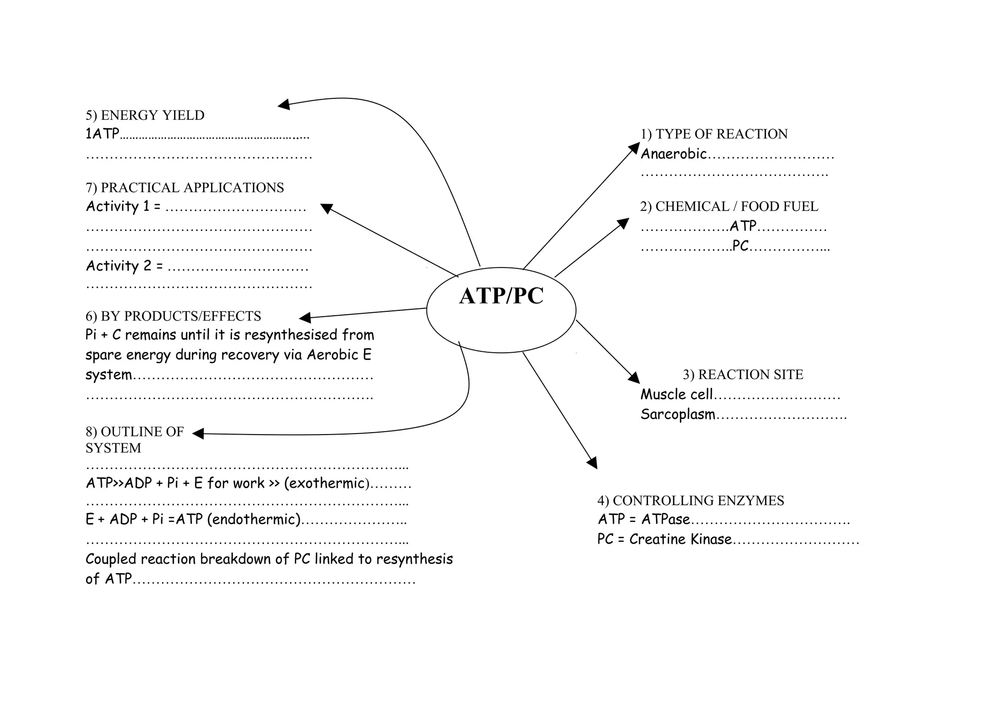 5) ENERGY YIELD
1ATP……………………………………………….....                                           1) TYPE OF REACTION
…………………………………………                                                      Anaerobic………………………
                                                                      ………………………………….
7) PRACTICAL APPLICATIONS
Activity 1 = …………………………                                               2) CHEMICAL / FOOD FUEL
…………………………………………                                                      ……………….ATP……………
…………………………………………                                                      ………………..PC……………...
Activity 2 = …………………………
…………………………………………
                                                         ATP/PC
6) BY PRODUCTS/EFFECTS
Pi + C remains until it is resynthesised from
spare energy during recovery via Aerobic E
system……………………………………………                                                     3) REACTION SITE
…………………………………………………….                                                 Muscle cell………………………
                                                                      Sarcoplasm……………………….
8) OUTLINE OF
SYSTEM
…………………………………………………………...
ATP>>ADP + Pi + E for work >> (exothermic)………
…………………………………………………………...                                         4) CONTROLLING ENZYMES
E + ADP + Pi =ATP (endothermic)…………………..                          ATP = ATPase…………………………….
…………………………………………………………...                                         PC = Creatine Kinase………………………
Coupled reaction breakdown of PC linked to resynthesis
of ATP……………………………………………………
 