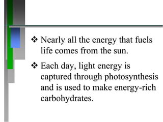  Nearly all the energy that fuels
life comes from the sun.
Each day, light energy is
captured through photosynthesis
and is used to make energy-rich
carbohydrates.