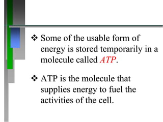  Some of the usable form of
energy is stored temporarily in a
molecule called ATP.
 ATP is the molecule that
supplies energy to fuel the
activities of the cell.
 