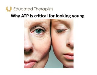 Why ATP is critical for looking young
 