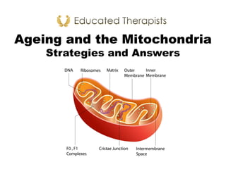 Ageing and the Mitochondria
Strategies and Answers
 