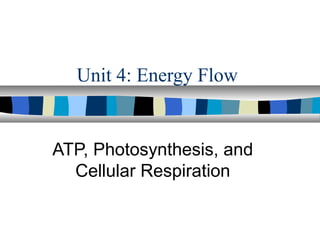Unit 4: Energy Flow

ATP, Photosynthesis, and
Cellular Respiration

 