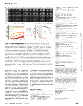 50-fold higher ATP/ADP ratio is necessary to
fuel the myriad metabolic reactions taking place
simultaneously in a cell. However, cytoplasm can
have protein concentrations over 100 mg/mL
(31–33), and it is extremely difficult to maintain
such high protein concentrations in a test tube
without spontaneous aggregation. The hydro-
trope activity of ATP may help keep proteins sol-
uble in the cytoplasm (34) and provide another,
but not mutually exclusive, explanation for high
ATP concentrations in cells. Possibly also, as the
levels of ATP decline with age or mitochondrial
impairment, this could lead to increased aggre-
gation and consequently neurodegenerative de-
cline during aging. Our work in this paper has
focused on the role of ATP in keeping unstruc-
tured proteins soluble, because these are the
types of proteins that have a propensity to form
pathological aggregates (35). It will be interesting
to examine the role of high ATP concentrations in
stability and function of multimolecular protein
machines.
More generally, during evolution, the produc-
tion of complex macromolecules would have im-
mediately presented the problem of aggregation.
As one of the basic building blocks in RNA and
DNA, ATP may have been coopted early in evo-
lution to prevent such aggregation. It is ideal for
this purpose, due to the high activation energy re-
quired to hydrolyze the polyphosphate bonds in
an ATP-Mg-water complex. ATP could later have
been adopted to provide the basic energy source
for metabolism, which is the hydrolysis of ATP
to ADP.
REFERENCES AND NOTES
1. C. P. Brangwynne, T. J. Mitchison, A. A. Hyman, Proc. Natl.
Acad. Sci. U.S.A. 108, 4334–4339 (2011).
2. S. Jain et al., Cell 164, 487–498 (2016).
3. A. A. Hyman, C. A. Weber, F. Jülicher, Annu. Rev. Cell Dev. Biol.
30, 39–58 (2014).
4. M. Polymenidou et al., Brain Res. 1462, 3–15 (2012).
5. W. Y. Wang et al., Nat. Neurosci. 16, 1383–1391 (2013).
6. X. Wang et al., Nature 454, 126–130 (2008).
7. A. Patel et al., Cell 162, 1066–1077 (2015).
8. K. A. Burke, A. M. Janke, C. L. Rhine, N. L. Fawzi, Mol. Cell 60,
231–241 (2015).
9. T. W. Traut, Mol. Cell. Biochem. 140, 1–22 (1994).
10. K. Clarke et al., J. Biol. Chem. 271, 21142–21150
(1996).
11. S. Saha et al., Cell 166, 1572–1584 (2016).
12. T. J. Nott et al., Mol. Cell 57, 936–947 (2015).
13. P. Debye, E. Hückel, Phys. Z. 24, 185–206
(1923).
14. E. Gout, F. Rébeillé, R. Douce, R. Bligny, Proc. Natl. Acad.
Sci. U.S.A. 111, E4560–E4567 (2014).
15. D. Balasubramanian, V. Srinivas, V. G. Gaikar, M. M. Sharma,
J. Phys. Chem. 93, 3865–3870 (1989).
16. C. Neuberg, Biochem. Z. 76, 107–176 (1916).
17. J. Eastoe, M. H. Hatzopoulos, P. J. Dowding, Soft Matter 7,
5917–5925 (2011).
18. C. V. Subbarao, I. P. K. Chakravarthy, A. V. S. L. Sai Bharadwaj,
K. M. M. K. Prasad, Chem. Eng. Technol. 35, 225–237
(2012).
19. J. J. Booth, S. Abbott, S. Shimizu, J. Phys. Chem. B 116,
14915–14921 (2012).
20. J. J. Booth, M. Omar, S. Abbott, S. Shimizu, Phys. Chem. Chem.
Phys. 17, 8028–8037 (2015).
21. S. Shimizu, N. Matubayasi, J. Phys. Chem. B 118, 10515–10524
(2014).
22. V. Srinivas, D. Balasubramanian, Langmuir 14, 6658–6661
(1998).
23. D. W. Bolen, I. V. Baskakov, J. Mol. Biol. 310, 955–963
(2001).
24. P. H. Yancey, M. E. Clark, S. C. Hand, R. D. Bowlus,
G. N. Somero, Science 217, 1214–1222 (1982).
25. G. G. Glenner, C. W. Wong, Biochem. Biophys. Res. Commun.
120, 885–890 (1984).
26. R. Halfmann et al., Nature 482, 363–368
(2012).
27. S. N. Timasheff, Biochemistry 41, 13473–13482
(2002).
28. S. Shimizu, N. Matubayasi, J. Phys. Chem. B 118, 3922–3930
(2014).
29. S. Shimizu, D. J. Smith, J. Chem. Phys. 121, 1148–1154
(2004).
30. S. Shimizu, Proc. Natl. Acad. Sci. U.S.A. 101, 1195–1199
(2004).
31. R. Milo, BioEssays 35, 1050–1055 (2013).
32. B. J. Zeskind et al., Nat. Methods 4, 567–569
(2007).
33. S. B. Zimmerman, S. O. Trach, J. Mol. Biol. 222, 599–620
(1991).
34. B. R. Parry et al., Cell 156, 183–194 (2014).
35. S. Alberti, A. A. Hyman, BioEssays 38, 959–968
(2016).
ACKNOWLEDGMENTS
We particularly thank W. Kunz and colleagues for their help,
support, advice, and discussions during the preparation of
the manuscript. We thank D. Drechsel, A. Nadler, K. Sandhoff,
D. Tang, and members of the Hyman, Krishnan, and Alberti
laboratories for helpful discussions; B. Bogdanovo and
R. Lemaitre for help with protein expression and purification;
B. Lombardot and R. Hasse from the Scientific Computing
facility for image analysis; and B. Nitzsche and B. Schroth-Diez
for help with light microscopy. We gratefully acknowledge
funding from the Alexander von Humboldt Foundation (GRO/
1156614 STP-2 to A.P. and USA/1153678 STP to S.S.), EMBO
ALTF (608-2013 to S.S.), and German Federal Ministry of
Research and Education (BMBF 031A359A Max Syn Bio). Y.K.
acknowledges the Scientific Innovation Award from the Brain
Research Foundation (BRF SIA-2016-01) and start-up funds
from the University of Chicago. A.A.H. and A.P. are inventors on
patent application 1305-5403-MSG-ZE, submitted by the Max
Planck Society, which covers nucleotides as hydrotropes.
SUPPLEMENTARY MATERIALS
www.sciencemag.org/content/356/6339/753/suppl/DC1
Materials and Methods
Supplementary Text
Figs. S1 to S4
Table S1
Movie S1
References (36–41)
14 March 2016; accepted 24 March 2017
10.1126/science.aaf6846
Patel et al., Science 356, 753–756 (2017) 19 May 2017 4 of 4
Fig. 4. ATP enhances protein stability. (A) Heat denaturation of crude egg white can be
inhibited by addition of ATP-Mg. Crude egg white was heated at 60°C in a water bath in the
presence of equimolar (10 mM) amounts of ATP-Mg, nonhydrolysable APPCP-Mg, and NaXS.
NaCl (40 mM) was used to match the ionic strength of ATP-Mg. Over 30 min, the aggregation
of egg white is abolished in the presence of ATP-Mg and APPCP-Mg. (B) The stabilization of
heat-denatured egg white is concentration dependent. The kinetic traces of egg-white
aggregation [conditions as in (A)] in the presence of increasing concentrations of ATP-Mg
over 60 min. The amount of egg-white aggregation is assessed by changes of the pixel value
(integrated density). Four mM of ATP-Mg blocked aggregation by 50%, whereas 12 mM of
ATP-Mg completely abolished aggregation. The shaded area represents the range of the
standard error (n = 3). (C) The dose response for stabilization of heat-denatured egg white. The
amount of egg-white aggregation was assessed by turbidity measurement in a 96-well plate.
The aggregation of egg white decreases with increasing concentrations. Lines represent fitted
dose-response curves [log(concentration versus aggregated material assessed by turbidity
measurement]. Error bars, mean ± SD (N = 3). The range of concentrations of all added reagents
was adjusted to match the range of ionic strength of ATP-Mg (see the supplementary materials
for details).
RESEARCH | REPORT
onMay18,2017http://science.sciencemag.org/Downloadedfrom
 