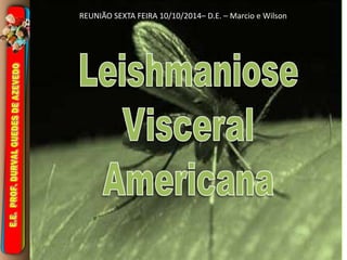 REUNIÃO SEXTA FEIRA 10/10/2014– D.E. – Marcio e Wilson 
 
