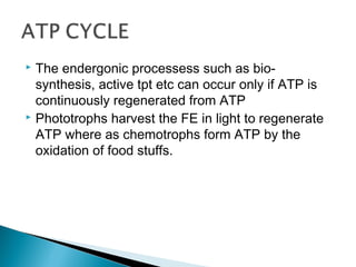 ATP cycle | PPT