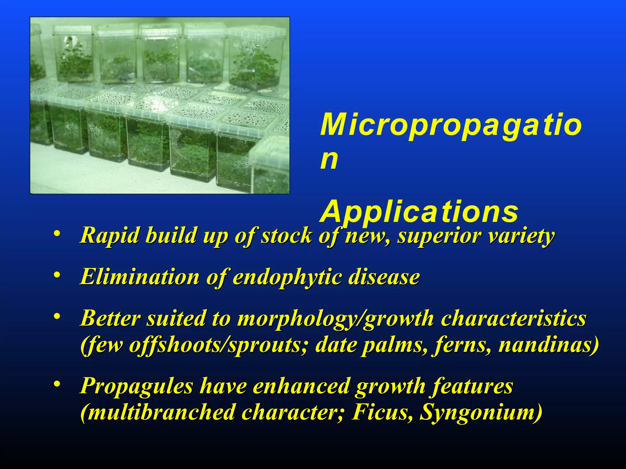 Micropropagatio
n
Applications
• Rapid build up of stock of new, superior varietyRapid build up of stock of new, superior variety
• Elimination of endophytic diseaseElimination of endophytic disease
• Better suited to morphology/growth characteristicsBetter suited to morphology/growth characteristics
(few offshoots/sprouts; date palms, ferns, nandinas)(few offshoots/sprouts; date palms, ferns, nandinas)
• Propagules have enhanced growth featuresPropagules have enhanced growth features
(multibranched character; Ficus, Syngonium)(multibranched character; Ficus, Syngonium)
 