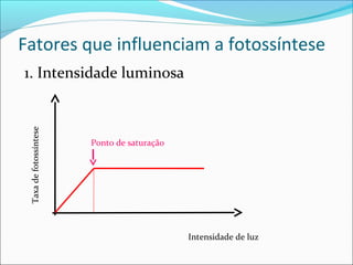 Fatores que influenciam a fotossíntese
1. Intensidade luminosa
 Taxa de fotossíntese




                        Ponto de saturação




                                             Intensidade de luz
 