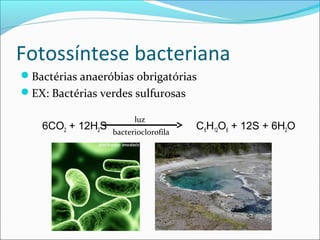 Fotossíntese bacteriana
Bactérias anaeróbias obrigatórias
EX: Bactérias verdes sulfurosas

                         luz
    6CO2 + 12H2S   bacterioclorofila
                                       C 6H12O6 + 12S + 6H2O
 