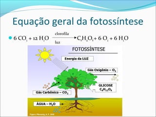 Equação geral da fotossíntese
                  clorofila
6 CO2 + 12 H2O               C6H12O6 + 6 O2 + 6 H2O
                  luz
 
