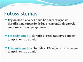 Fotossistemas
Região nos tilacóides onde há concentração de
 clorofila para captação de luz e conversão da energia
 luminosa em energia química.

Fotossistema I = clorofila a, P700 (absorve o maior
 comprimento de onda)

Fotossistema II = clorofila a, P680 ( absorve o menor
 comprimento de onda)
 