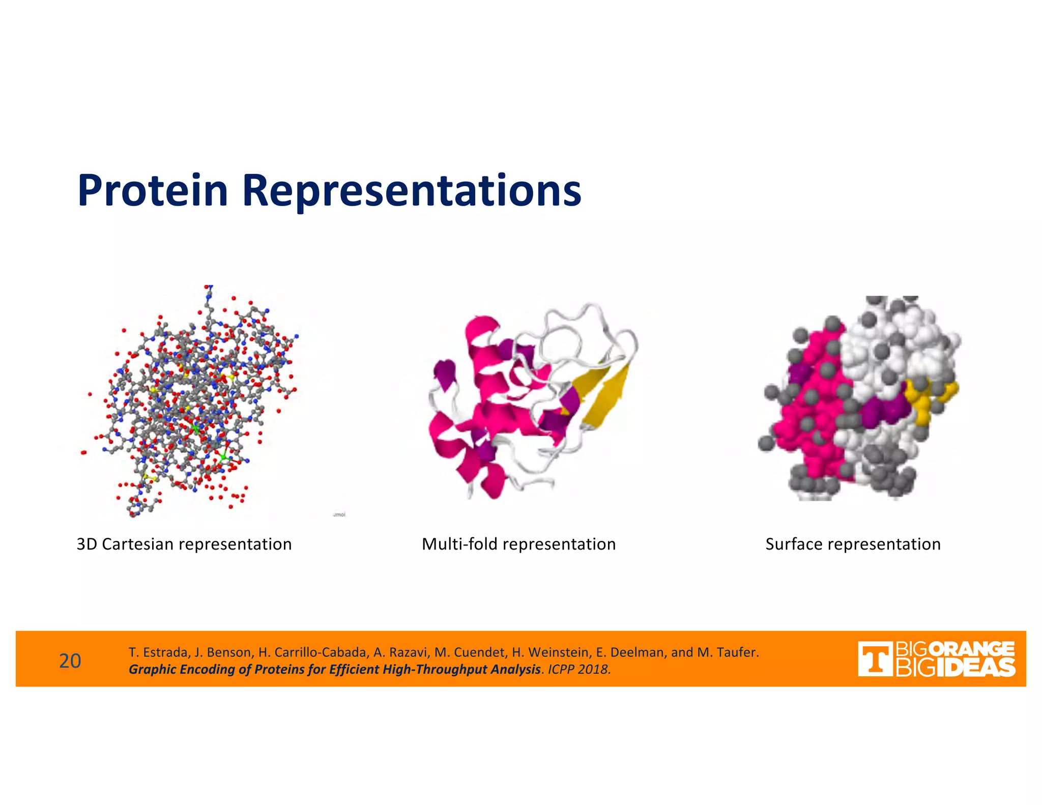 Protein Representations
3D Cartesian representation Surface representationMulti-fold representation
20 T. Estrada, J. Benson, H. Carrillo-Cabada, A. Razavi, M. Cuendet, H. Weinstein, E. Deelman, and M. Taufer.
Graphic Encoding of Proteins for Efficient High-Throughput Analysis. ICPP 2018.
 