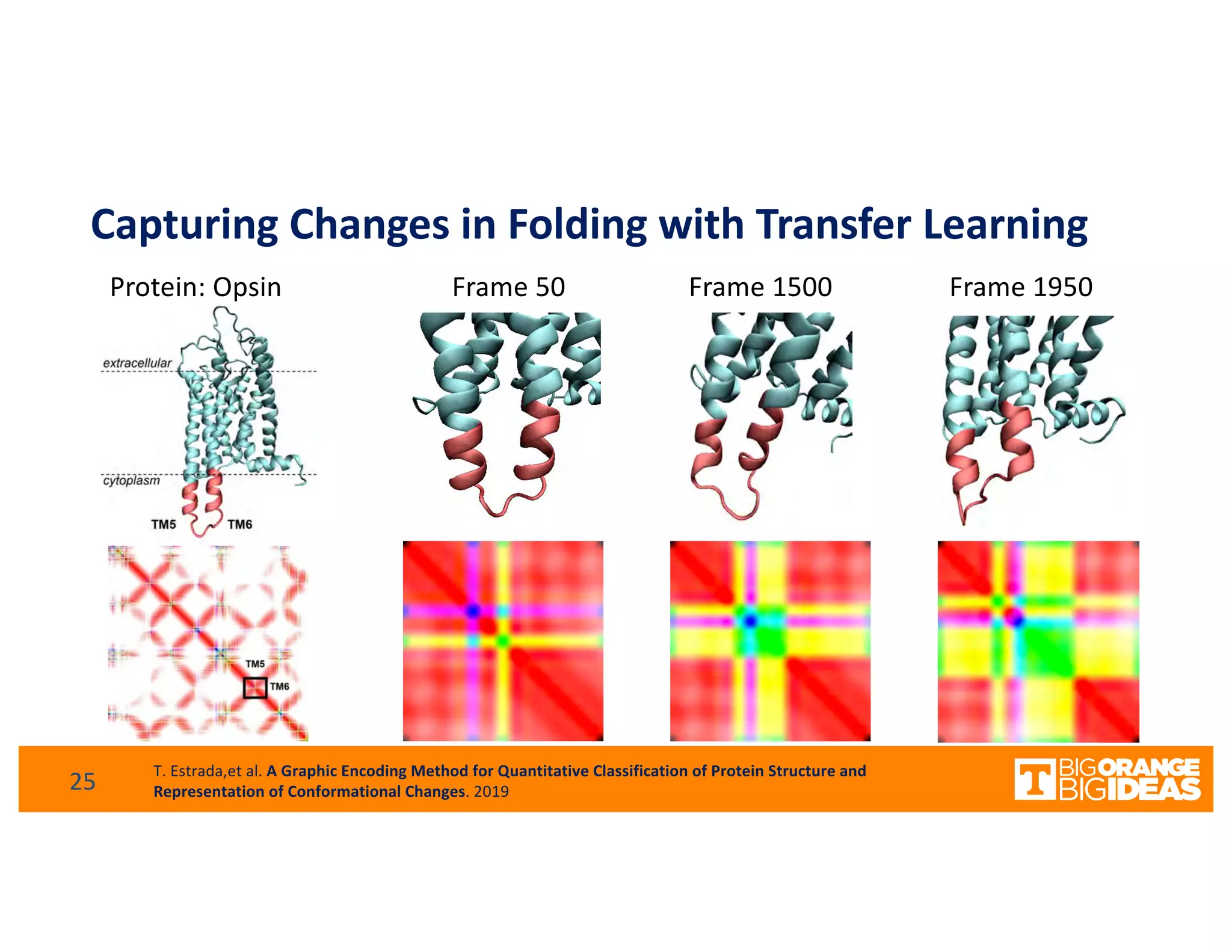 Capturing Changes in Folding with Transfer Learning
25
T. Estrada,et al. A Graphic Encoding Method for Quantitative Classification of Protein Structure and
Representation of Conformational Changes. 2019
Protein: Opsin Frame 50 Frame 1500 Frame 1950
 