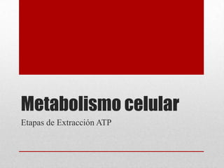 Metabolismo celular
Etapas de Extracción ATP
 