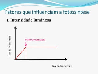 Fatores que influenciam a fotossíntese
1. Intensidade luminosa
 Taxa de fotossíntese




                        Ponto de saturação




                                             Intensidade de luz
 