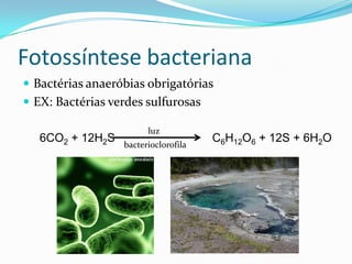 Fotossíntese bacteriana
 Bactérias anaeróbias obrigatórias
 EX: Bactérias verdes sulfurosas

                        luz
   6CO2 + 12H2S   bacterioclorofila
                                      C6H12O6 + 12S + 6H2O
 