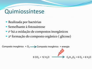 Quimiossíntese
    Realizada por bactérias
    Semelhante à fotossíntese
    1º há a oxidação de compostos inorgânicos
    2º formação do composto orgânico ( glicose)


Composto inorgânico + O2      Composto inorgânico + energia



                           6 CO2 + 12 H2O               C6H12O6 + 6 O2 + 6 H2O
 