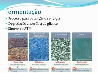 Fermentação
 Processo para obtenção de energia
 Degradação anaeróbia da glicose
 Síntese de ATP
 