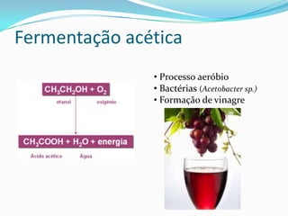 Fermentação acética
               • Processo aeróbio
               • Bactérias (Acetobacter sp.)
               • Formação de vinagre
 