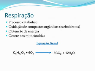 Respiração
   Processo catabólico
   Oxidação de compostos orgânicos (carboidratos)
   Obtenção de energia
   Ocorre nas mitocôndrias

                      Equação Geral


      C6H12O6 + 6O2             6CO2 + 12H2O
 