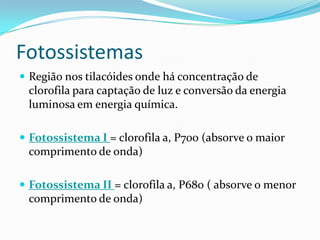 Fotossistemas
 Região nos tilacóides onde há concentração de
 clorofila para captação de luz e conversão da energia
 luminosa em energia química.

 Fotossistema I = clorofila a, P700 (absorve o maior
 comprimento de onda)

 Fotossistema II = clorofila a, P680 ( absorve o menor
 comprimento de onda)
 