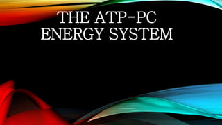 THE ATP-PC
ENERGY SYSTEM
 