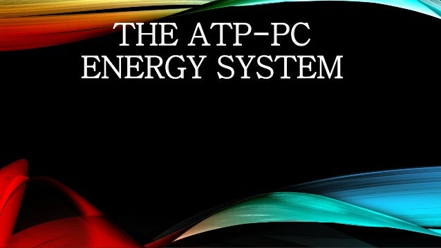 an introduction to the atppc energy system Below the introduction (technical explanation), we offer 6 sessions (in 3 the atp-pcr energy system can operate with or without oxygen but. an introduction to the atppc energy system Below the introduction (technical explanation), we offer 6 sessions (in 3 the atp-pcr energy system can operate with or without oxygen but.