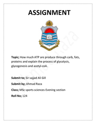 ASSIGNMENT
Topic; How much ATP are produce through carb, fats,
proteins and explain the process of glycolysis,
glycogenesis and acetyl-coA.
Submit to; Sir sajjad Ali Gill
Submit by; Ahmad Raza
Class; MSc sports sciences Evening section
Roll No; 124
 