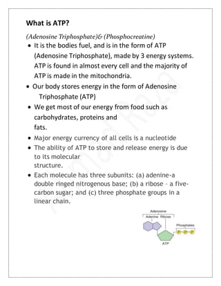Atp pc energy system | DOCX