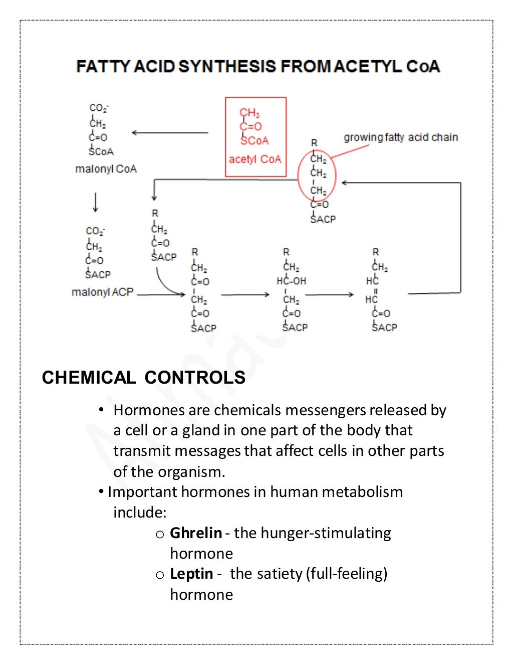 Atp pc energy system