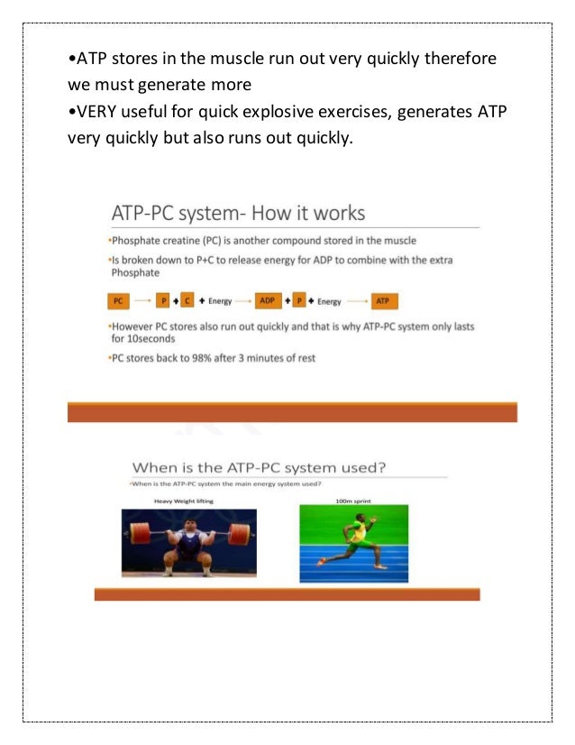 Atp pc energy system