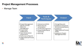 Project Management Processes
• Manage Team
28
 