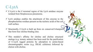 C-LytA
 C-LytA is the C-terminal region of the LytA amidase enzyme
isolated from Streptococcus pneumonia.
 LytA amidase enables the attachment of this enzyme to the
phosphocholine residues present on the teichoic acids of the cell
wall surface.
 Structurally, C-LytA is built up from six conserved b-hairpins
that form four choline-binding sites.
 This module’s affinity for choline and choline structural
analogs (e.g. ternary amines) has been used for the purification
of C-LytA tagged proteins by adsorption to amine-based
chromatographic resins (e.g. DEAE cellulose) followed by
elution with choline.
 