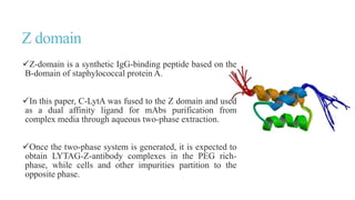 Z domain
Z-domain is a synthetic IgG-binding peptide based on the
B-domain of staphylococcal protein A.
In this paper, C-LytA was fused to the Z domain and used
as a dual affinity ligand for mAbs purification from
complex media through aqueous two-phase extraction.
Once the two-phase system is generated, it is expected to
obtain LYTAG-Z-antibody complexes in the PEG rich-
phase, while cells and other impurities partition to the
opposite phase.
 