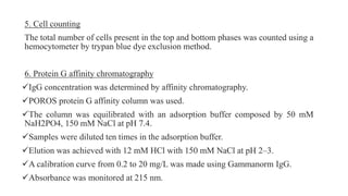 5. Cell counting
The total number of cells present in the top and bottom phases was counted using a
hemocytometer by trypan blue dye exclusion method.
6. Protein G affinity chromatography
IgG concentration was determined by affinity chromatography.
POROS protein G affinity column was used.
The column was equilibrated with an adsorption buffer composed by 50 mM
NaH2PO4, 150 mM NaCl at pH 7.4.
Samples were diluted ten times in the adsorption buffer.
Elution was achieved with 12 mM HCl with 150 mM NaCl at pH 2–3.
A calibration curve from 0.2 to 20 mg/L was made using Gammanorm IgG.
Absorbance was monitored at 215 nm.
 