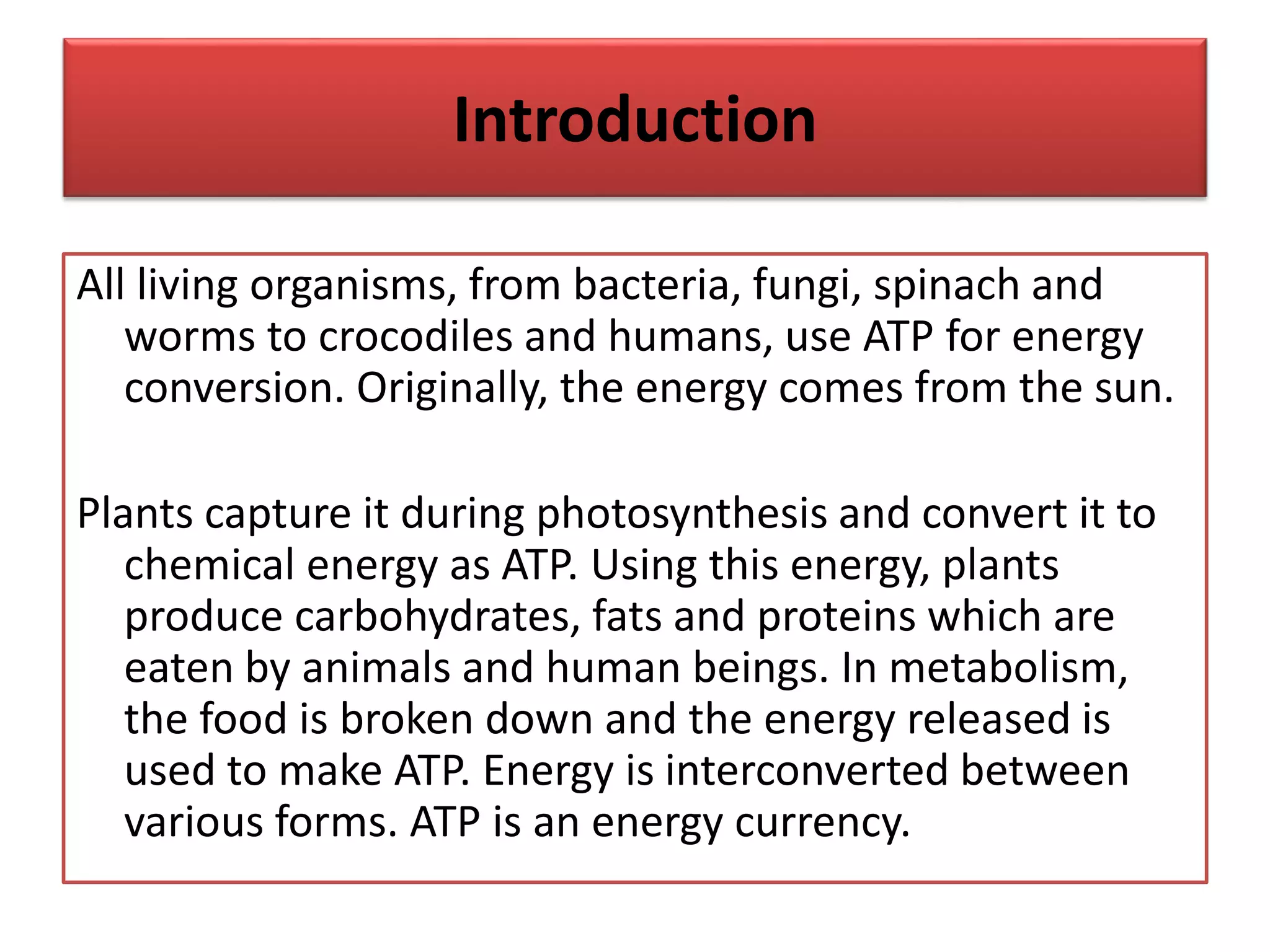 Introduction
All living organisms, from bacteria, fungi, spinach and
worms to crocodiles and humans, use ATP for energy
conversion. Originally, the energy comes from the sun.
Plants capture it during photosynthesis and convert it to
chemical energy as ATP. Using this energy, plants
produce carbohydrates, fats and proteins which are
eaten by animals and human beings. In metabolism,
the food is broken down and the energy released is
used to make ATP. Energy is interconverted between
various forms. ATP is an energy currency.
 