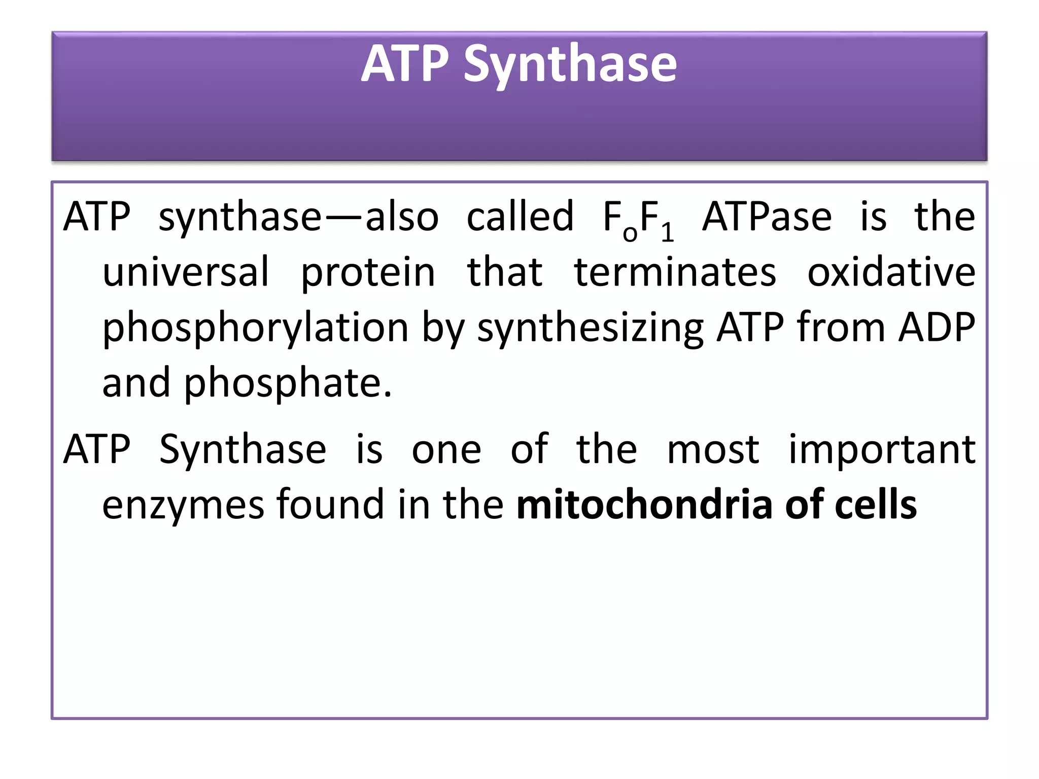 ATP Synthase
ATP synthase—also called FoF1 ATPase is the
universal protein that terminates oxidative
phosphorylation by synthesizing ATP from ADP
and phosphate.
ATP Synthase is one of the most important
enzymes found in the mitochondria of cells
 