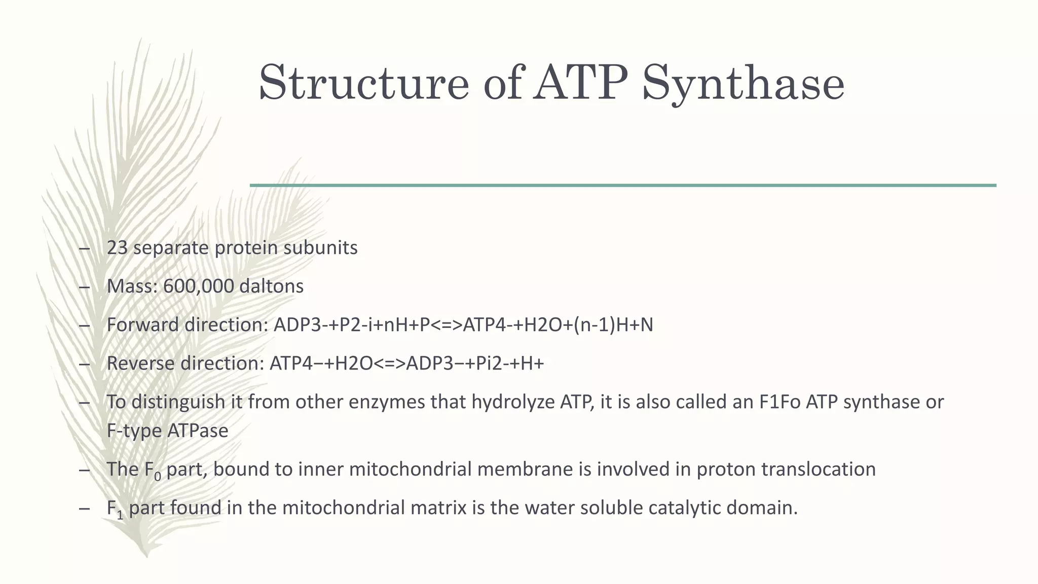 Structure of ATP Synthase
– 23 separate protein subunits
– Mass: 600,000 daltons
– Forward direction: ADP3-+P2-i+nH+P<=>ATP4-+H2O+(n-1)H+N
– Reverse direction: ATP4−+H2O<=>ADP3−+Pi2-+H+
– To distinguish it from other enzymes that hydrolyze ATP, it is also called an F1Fo ATP synthase or
F-type ATPase
– The F0 part, bound to inner mitochondrial membrane is involved in proton translocation
– F1 part found in the mitochondrial matrix is the water soluble catalytic domain.
 